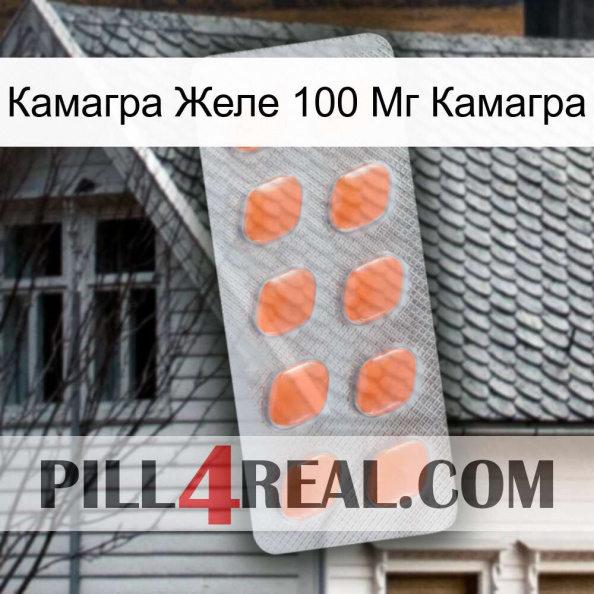 Камагра Желе 100 Мг Камагра 26.jpg